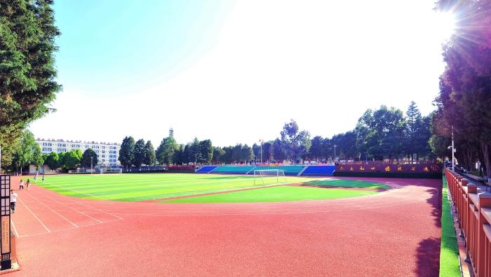 DSC_2551_副本_副本