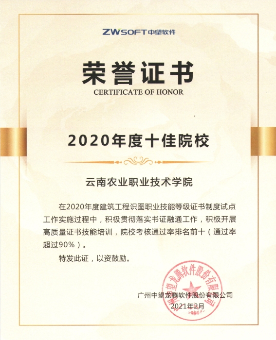 2020年度十佳院校奖状