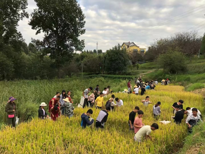 学生参与科研活动