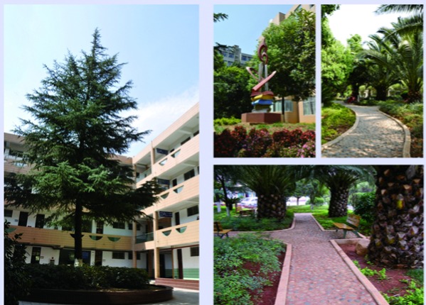 校园风光 校园风光