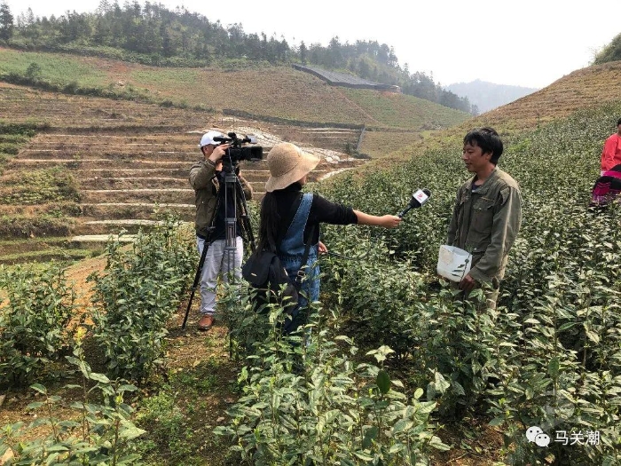 00304317189_5a2d360a