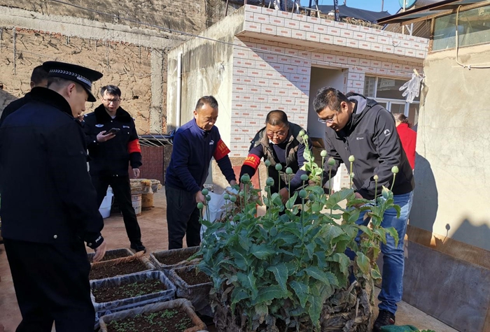 1374aaf9718f7c05795aefc48095636 1374aaf9718f7c05795aefc48095636