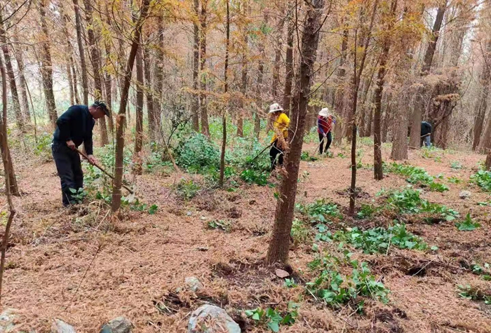 5592e0941c3186f10b61ef090110218 5592e0941c3186f10b61ef090110218