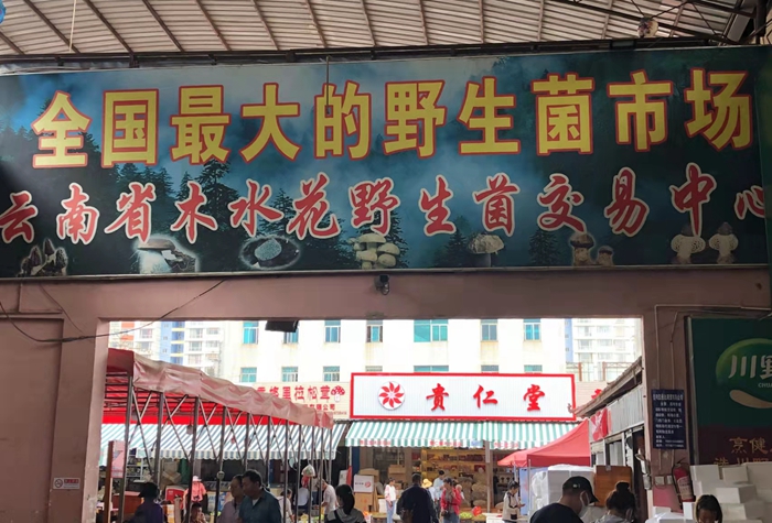 521bed7552110e6f75cd3275bfa12af 521bed7552110e6f75cd3275bfa12af