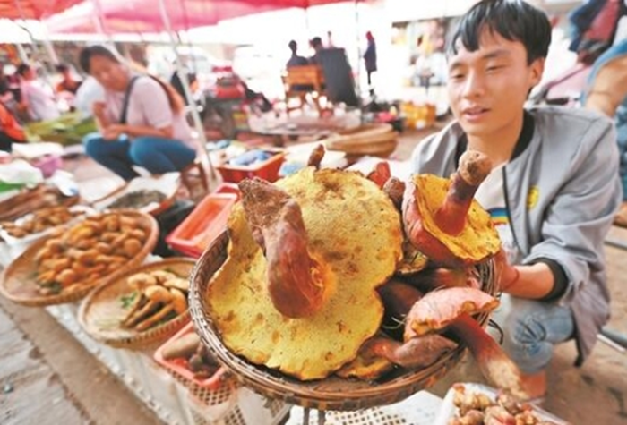 e93fbe5bf3a48b193d2dd7608914409 e93fbe5bf3a48b193d2dd7608914409