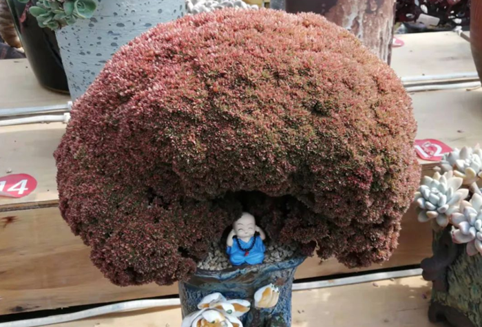 微信截图_20220407173519 微信截图_20220407173519