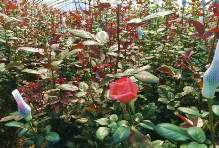 微信截图_20220407173534 微信截图_20220407173534