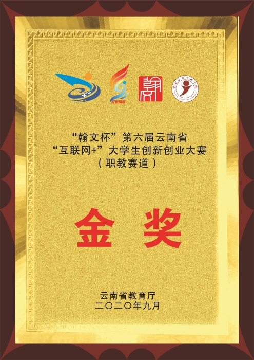 互联网+双创大赛金奖