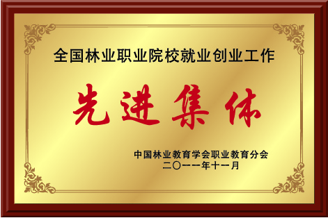 招生手册 A2.0-06