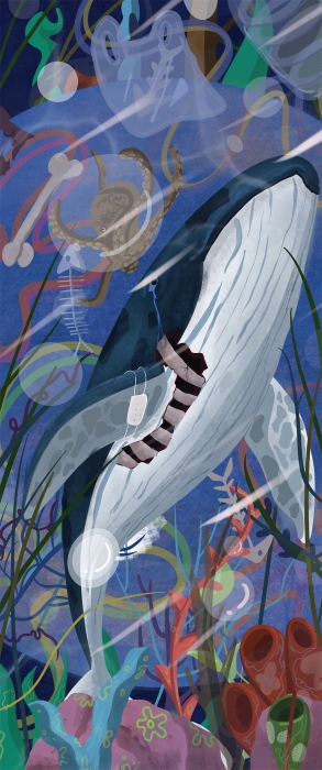 视觉传达设计 视觉传达设计