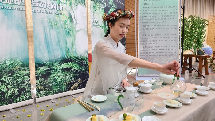 现代文秘专业茶艺展示