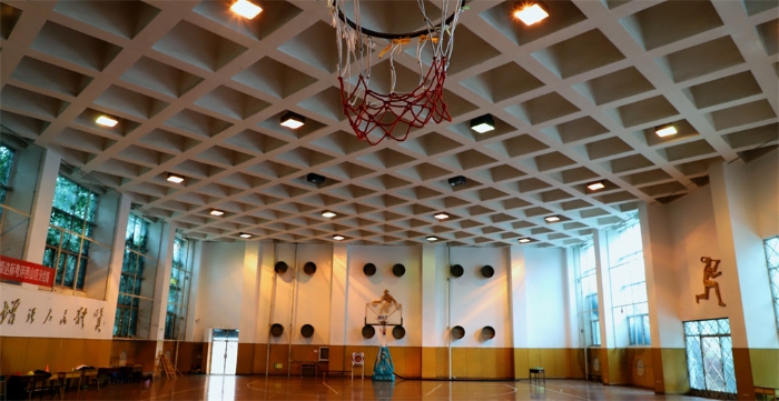 篮球馆2