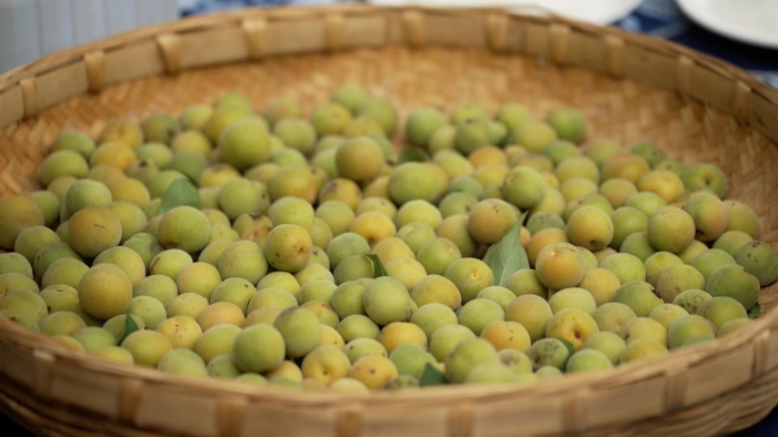 5dd859d073a45a33be6591616e30154 5dd859d073a45a33be6591616e30154