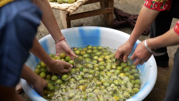 6c4be4e0f1192564594f08686769984 6c4be4e0f1192564594f08686769984