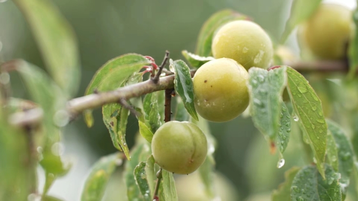 6cac7cb83bb8076f6e40ccadd598470 6cac7cb83bb8076f6e40ccadd598470