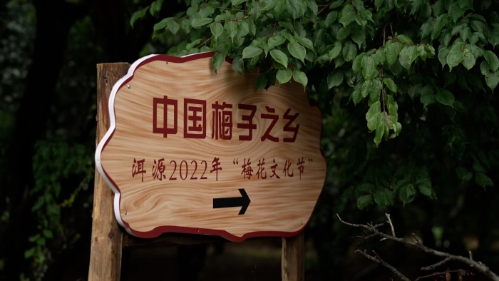 6191dfafa0ba214812e0b09c7013e63 6191dfafa0ba214812e0b09c7013e63