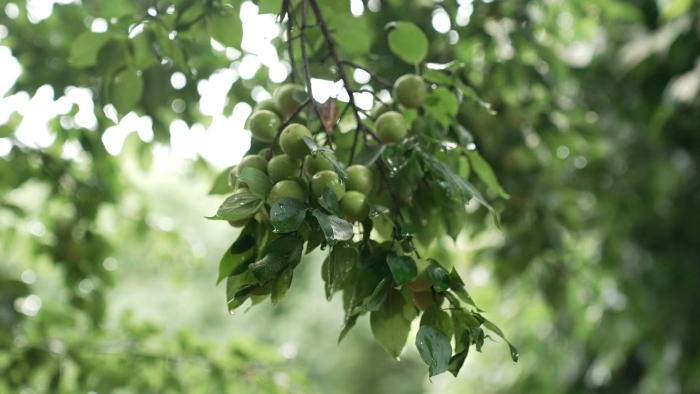 31931a9b61918a6a3a12d7f1fff059f 31931a9b61918a6a3a12d7f1fff059f