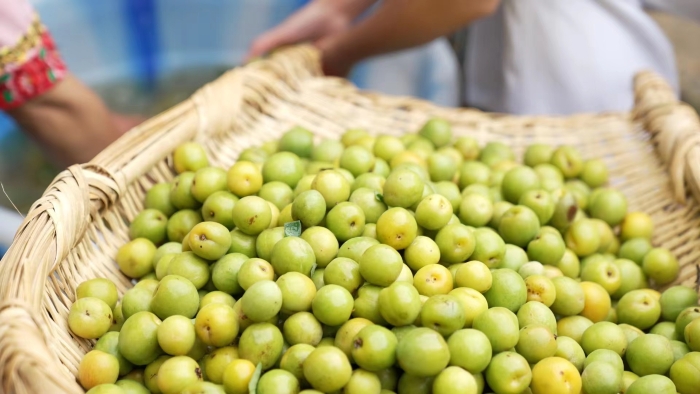 f2502ddb7b1276f4624bcc3708af75b f2502ddb7b1276f4624bcc3708af75b