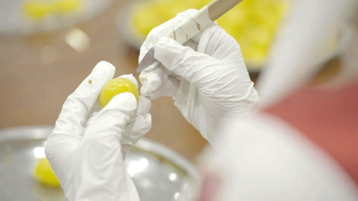 d89b230652194dbeeb0038e49c89ef7 d89b230652194dbeeb0038e49c89ef7