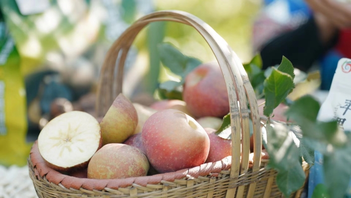 6c4d3bdc918c1f972040a669f0d18fe