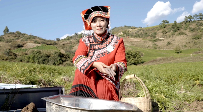 112a26210e7e1ecaec15e8a3f1bfe37