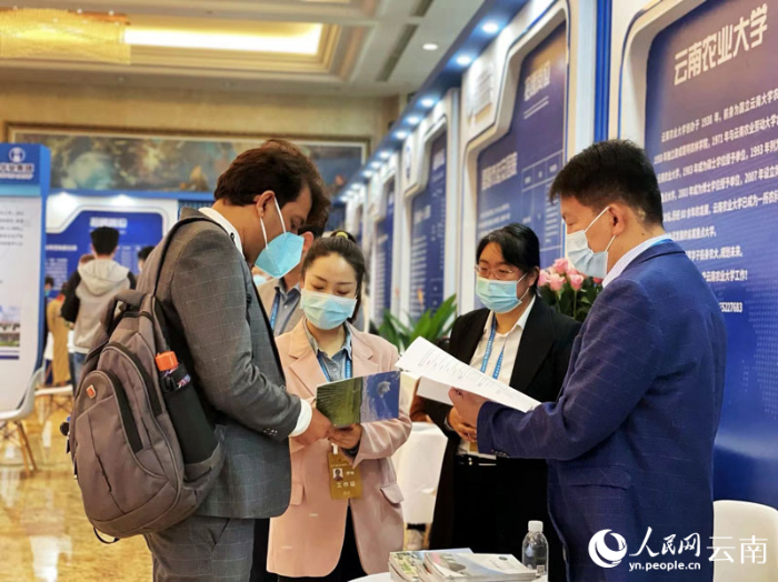 【1】第六届云南国际人才交流会人才招聘会现场。（人民网-蔡树菁摄）