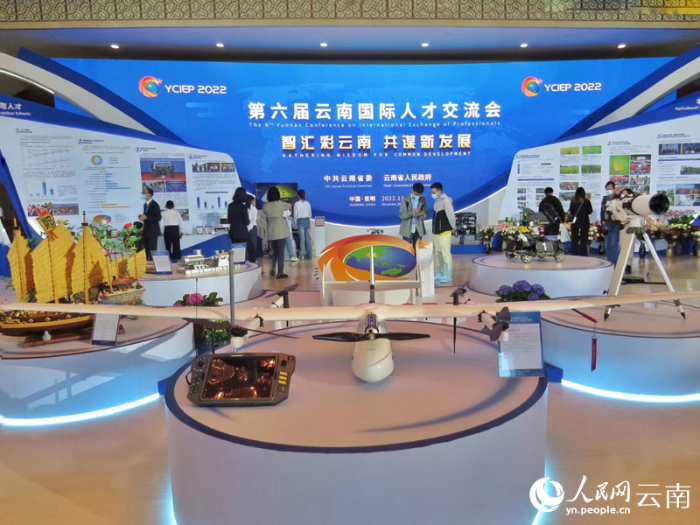 【2】第六届云南国际人才交流会人才工作专题展。（人民网-刘怡摄）
