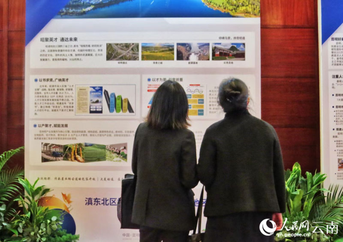 【4】第六届云南国际人才交流会上，求职者查看云南各地人才引进政策。（人民网-刘怡摄）