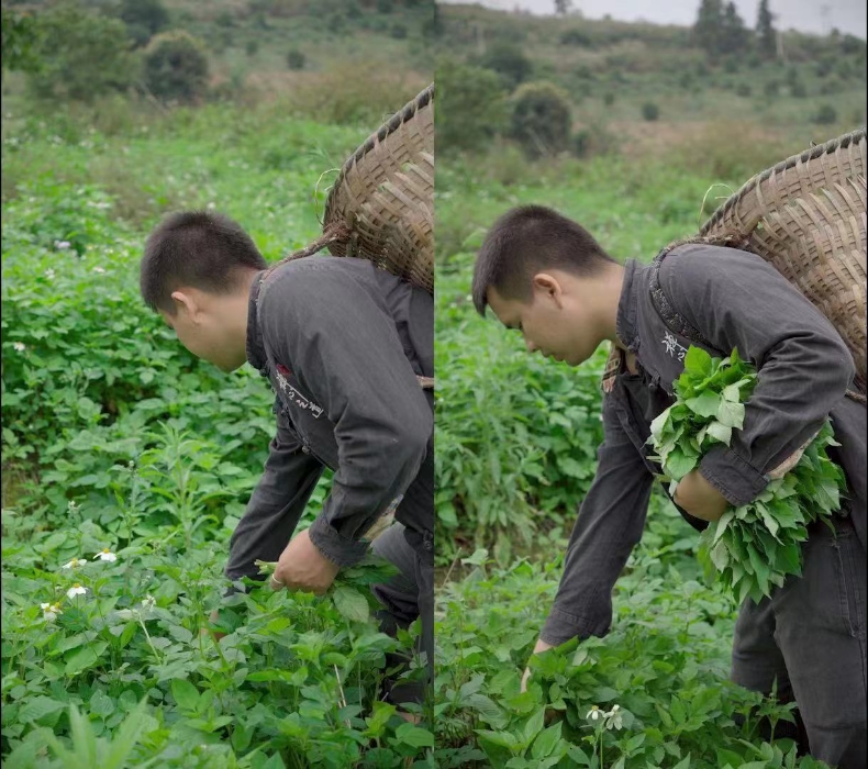 850d24b472f6da0c2e73fc8e03445c8 850d24b472f6da0c2e73fc8e03445c8