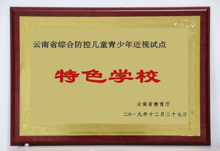 2-云南省近视试点特色学校_副本