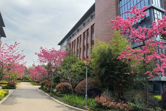 bad1ede4dd2f111aa3616e0413bff65