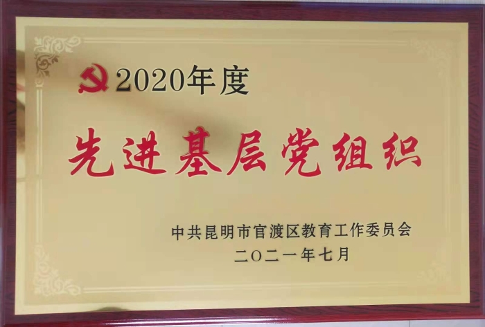 2020年度先进基层党组织