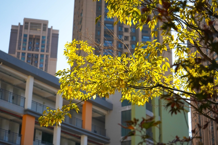 微信图片_20230410190942