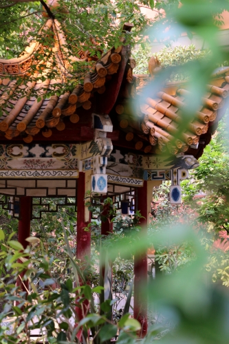 mmexport1681634253838_edit_17240688158305