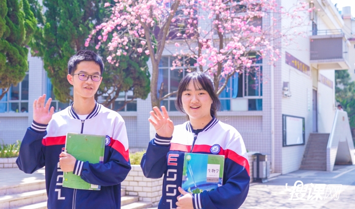 2023昆二十四中樱花_1.25.1