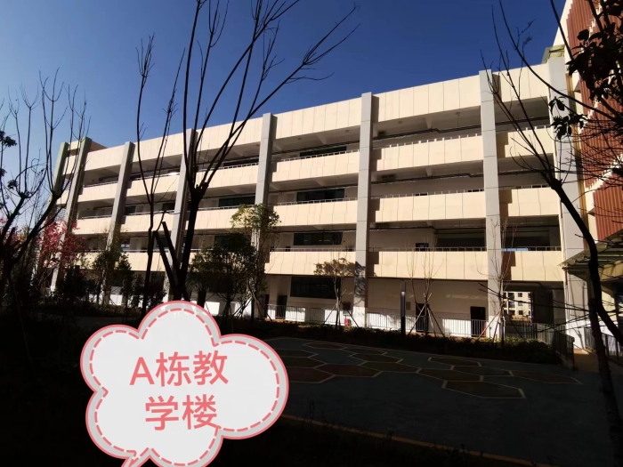 微信图片_202206102155535