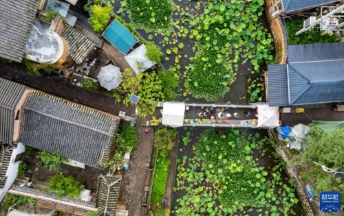 iShot_2025-08-05_09.47.36