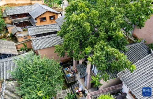 iShot_2025-08-05_09.47.43