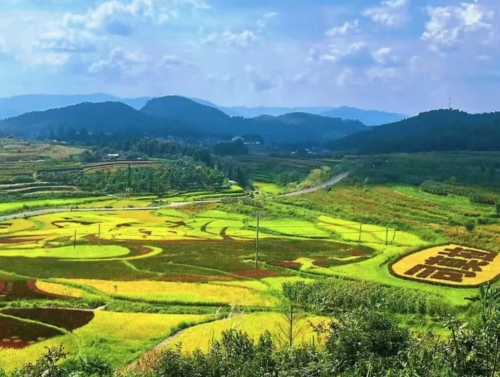 iShot_2025-10-20_11.24.08