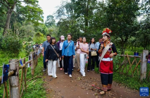 iShot_2025-10-30_09.22.53