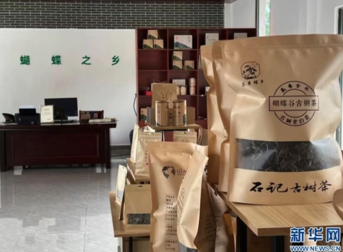 iShot_2025-11-05_10.37.52