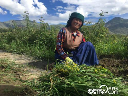 西藏易地扶贫搬迁“搬”出幸福感 西藏易地扶贫搬迁“搬”出幸福感