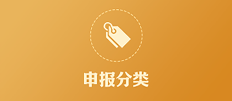 申报分类
