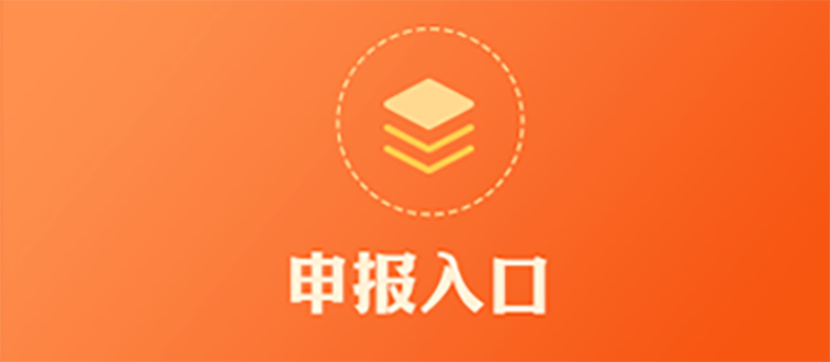 申报入口