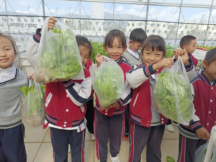 QQ图片20231023153010