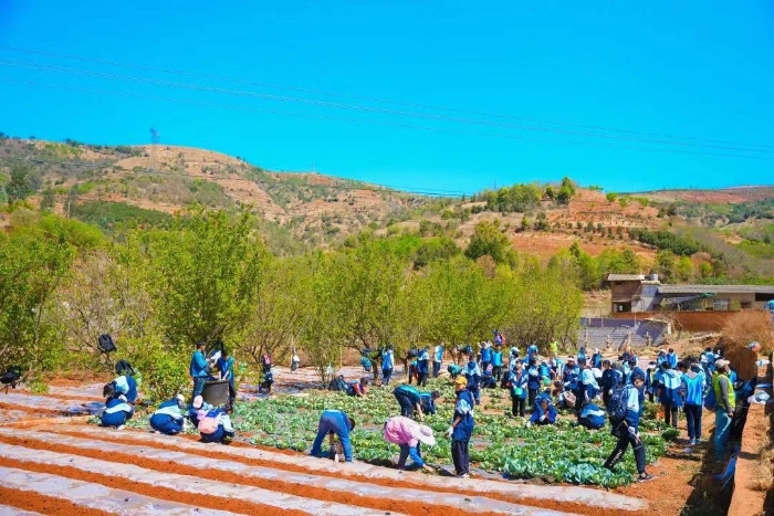 微信图片_20240403171443