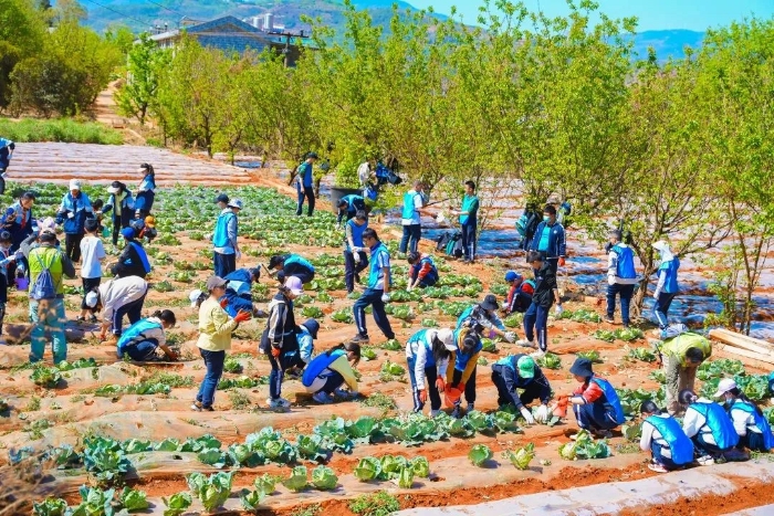 微信图片_20240403171450