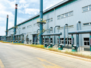 73501714324218443 73501714324218443