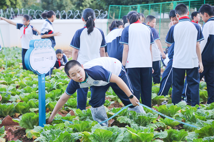 劳能启智 动促成长(劳动教育) 劳能启智 动促成长(劳动教育)