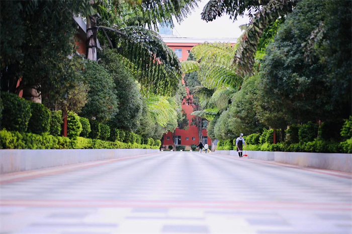 知味楼旁干道2 知味楼旁干道2